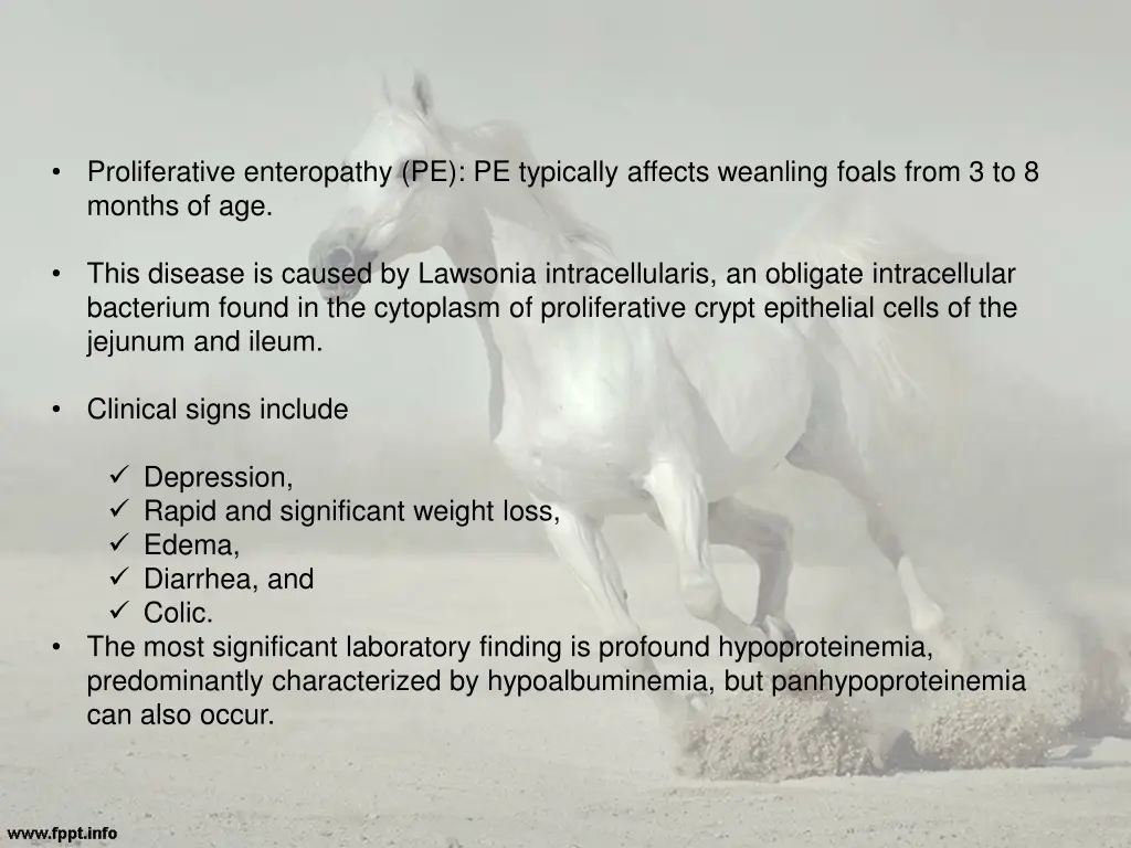 proliferative enteropathy pe pe typically affects