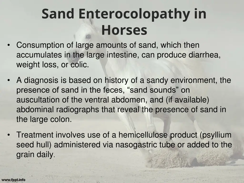 sand enterocolopathy in horses consumption