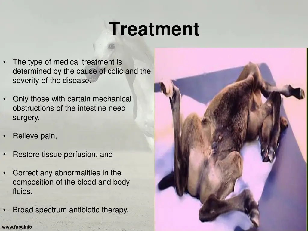 treatment 1