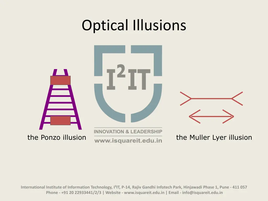 optical illusions