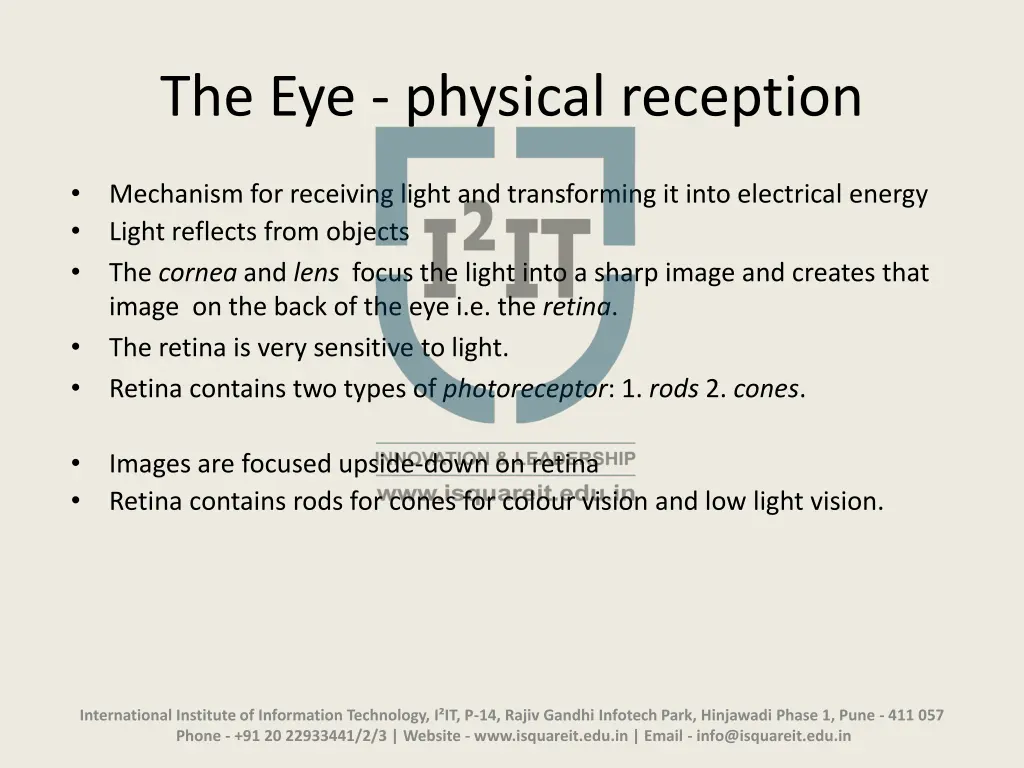 the eye physical reception
