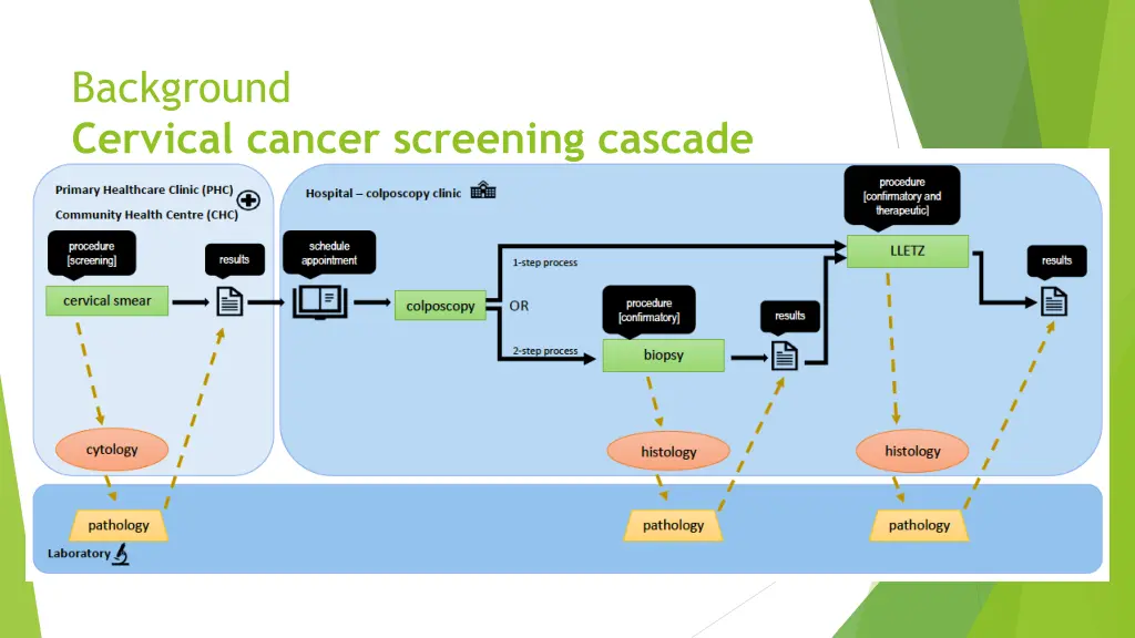 background cervical cancer screening cascade 1