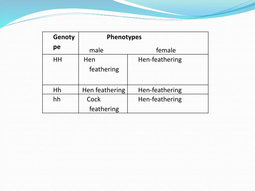 genoty pe
