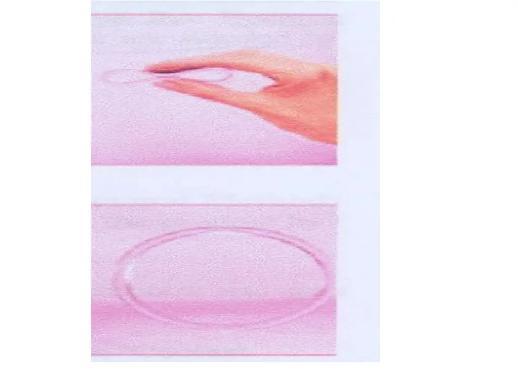 slide24