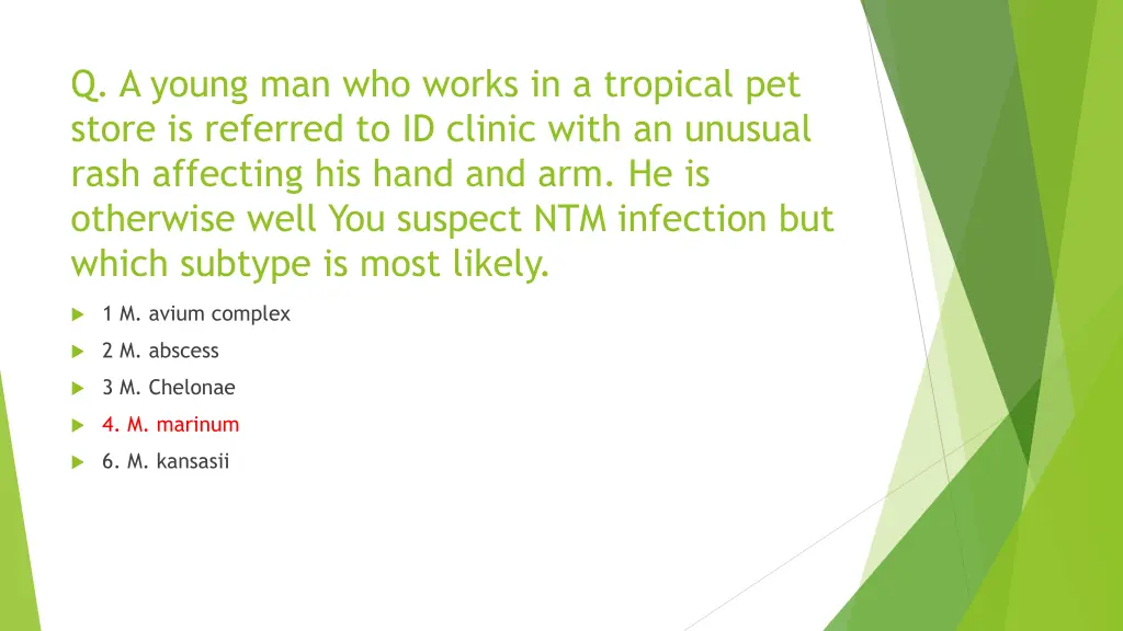 q a young man who works in a tropical pet store 1