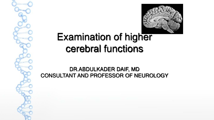 examination of higher cerebral functions