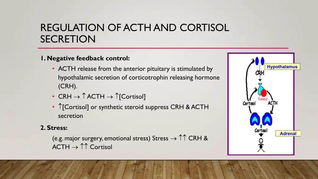 regulation of acth and cortisol secretion