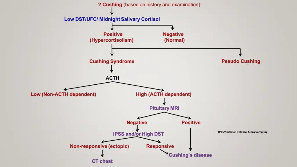 slide16