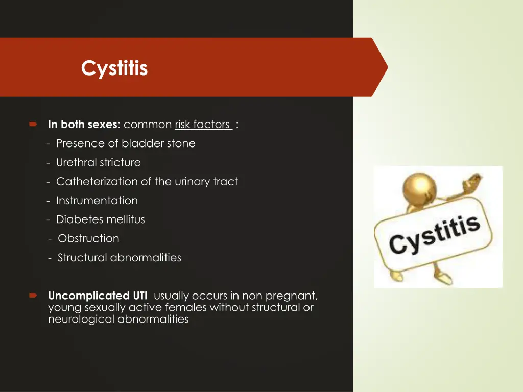 cystitis 1
