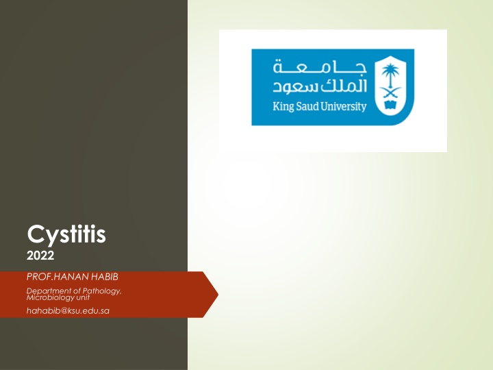 cystitis 2022