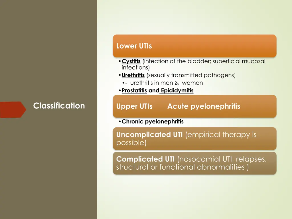 lower utis