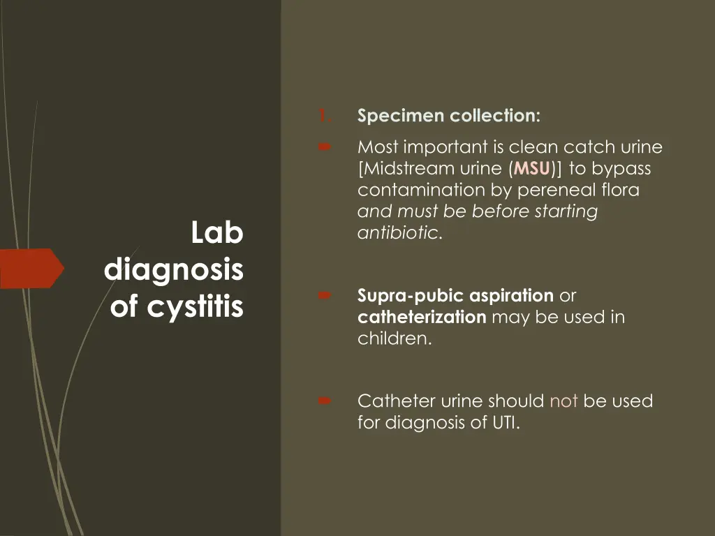 slide17