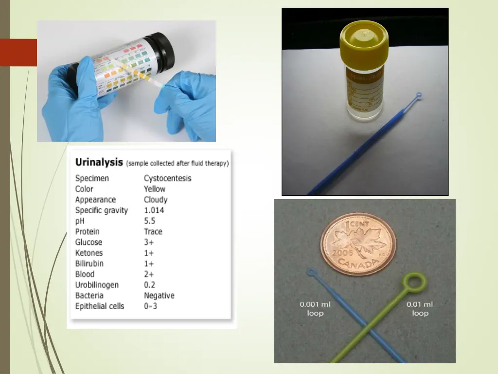 slide21