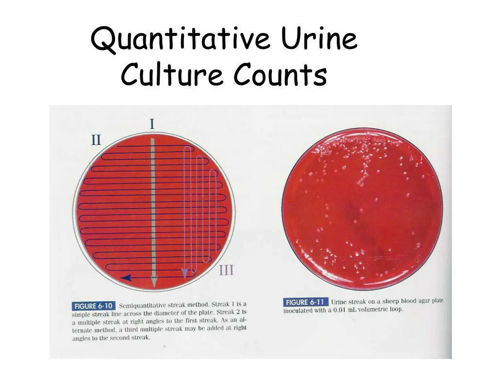 slide23