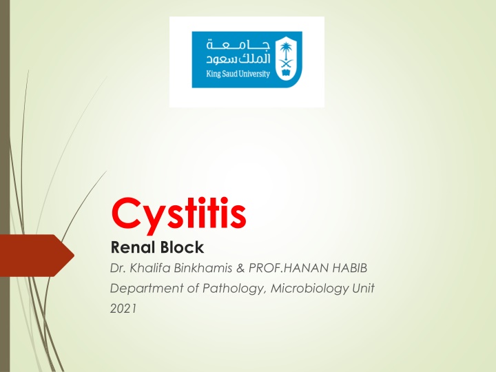 cystitis renal block dr khalifa binkhamis prof