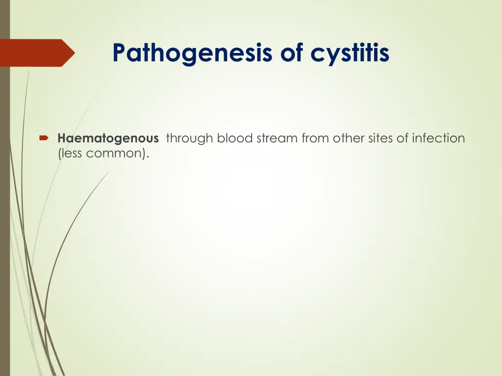 pathogenesis of cystitis 1