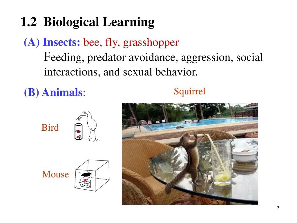 1 2 biological learning