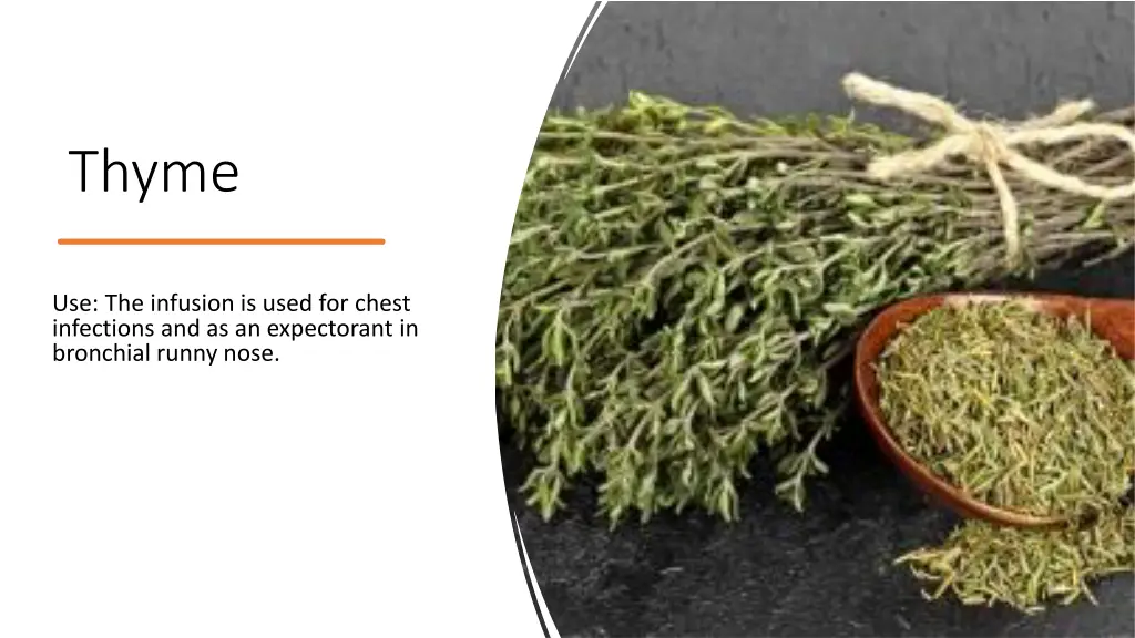thyme