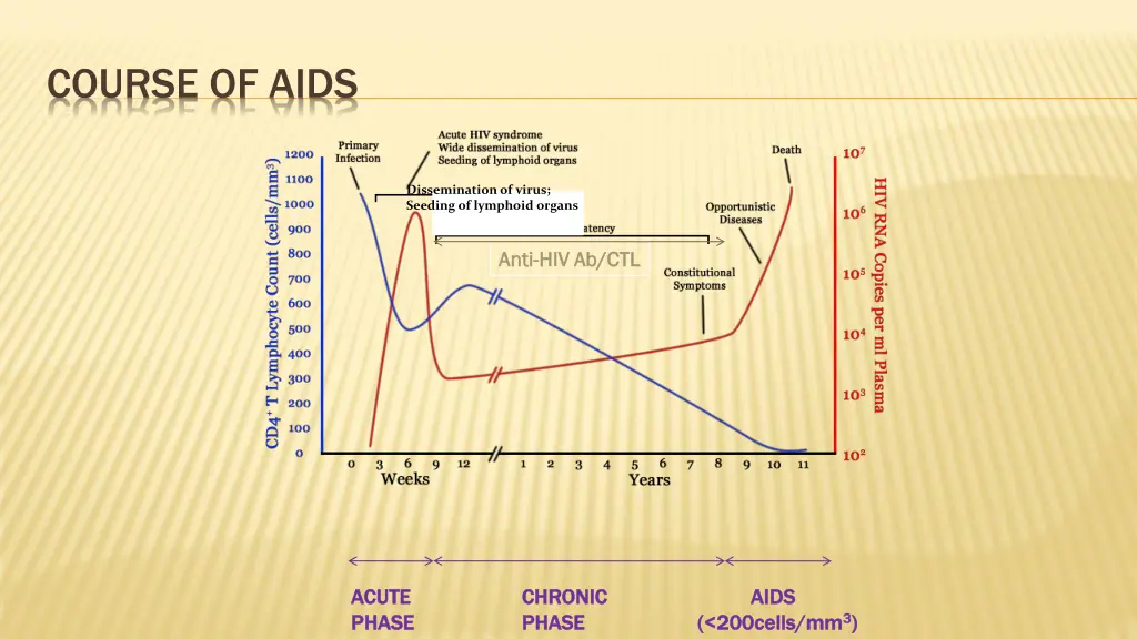 course of aids