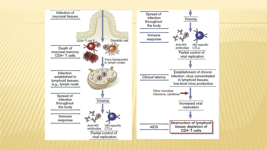 slide24
