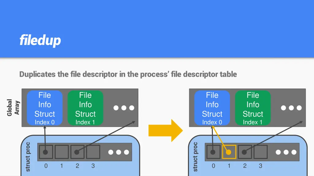 filedup