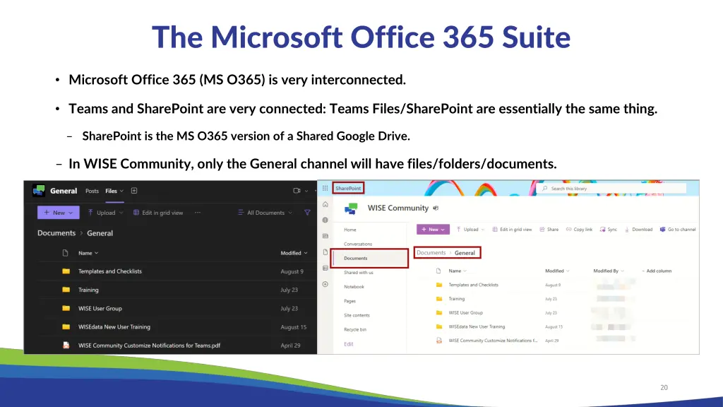 the microsoft office 365 suite