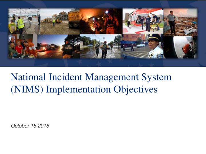 national incident management system nims