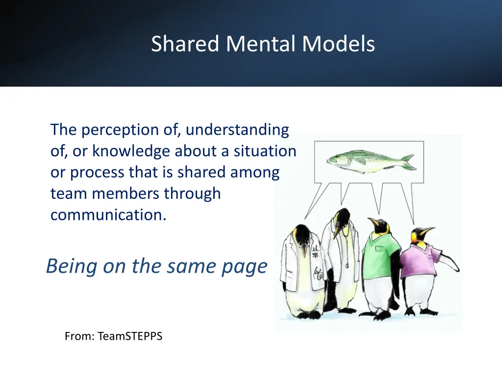shared mental models