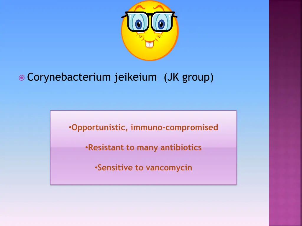 corynebacterium jeikeium jk group