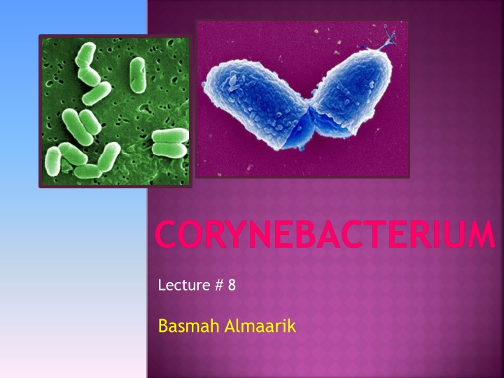 corynebacterium