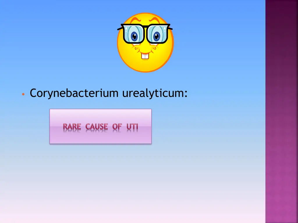 corynebacterium urealyticum