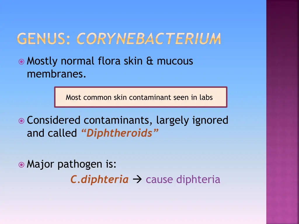 genus corynebacterium