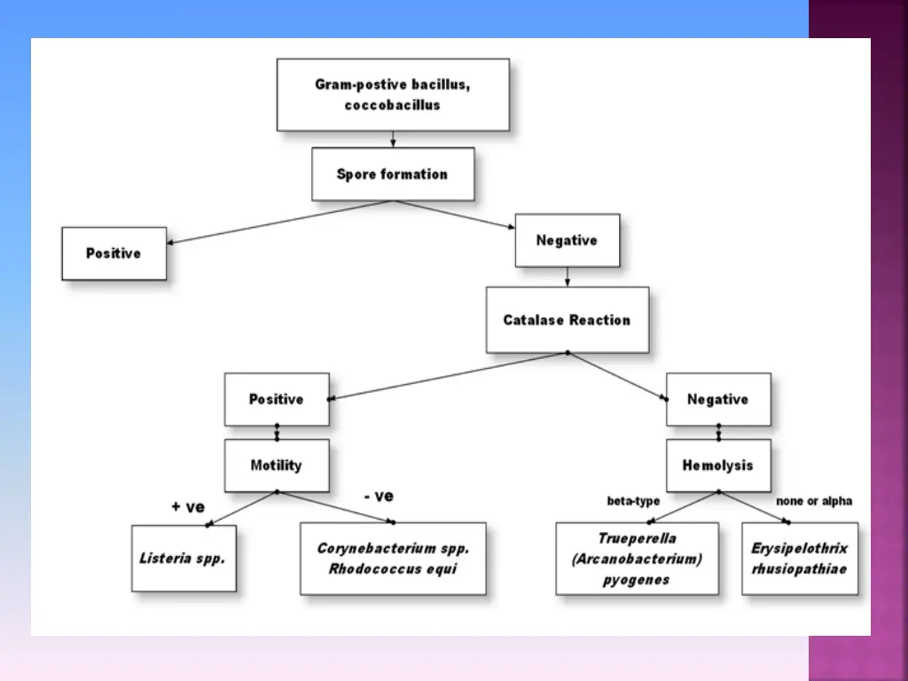 slide3