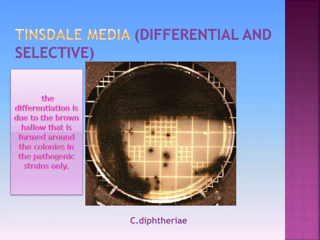tinsdale media differential and selective 1