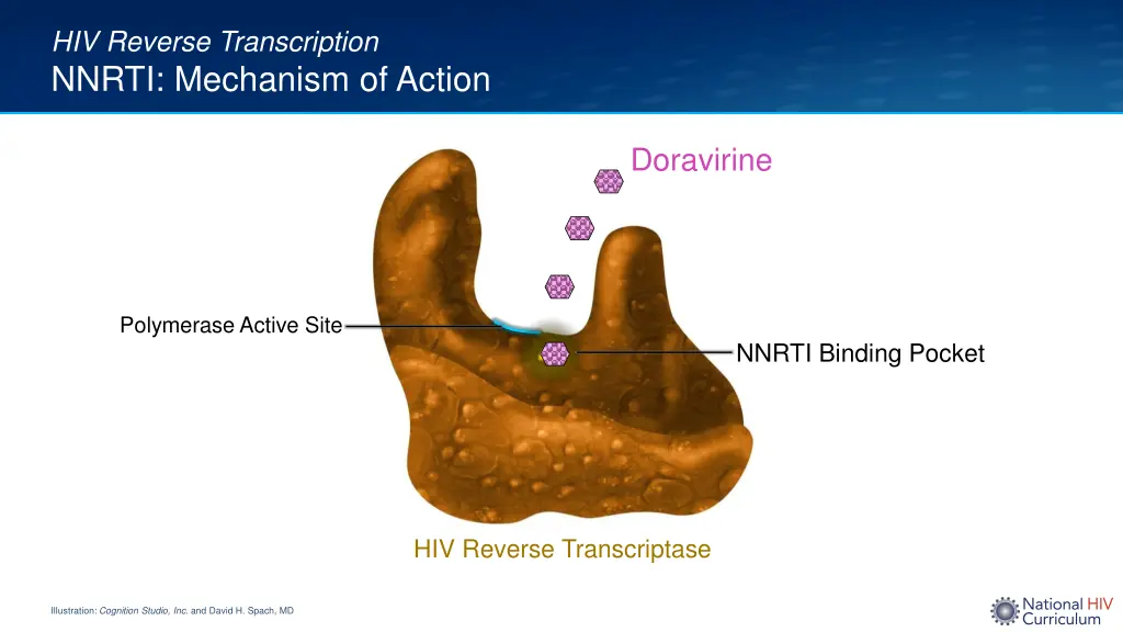 hiv reverse transcription nnrti mechanism