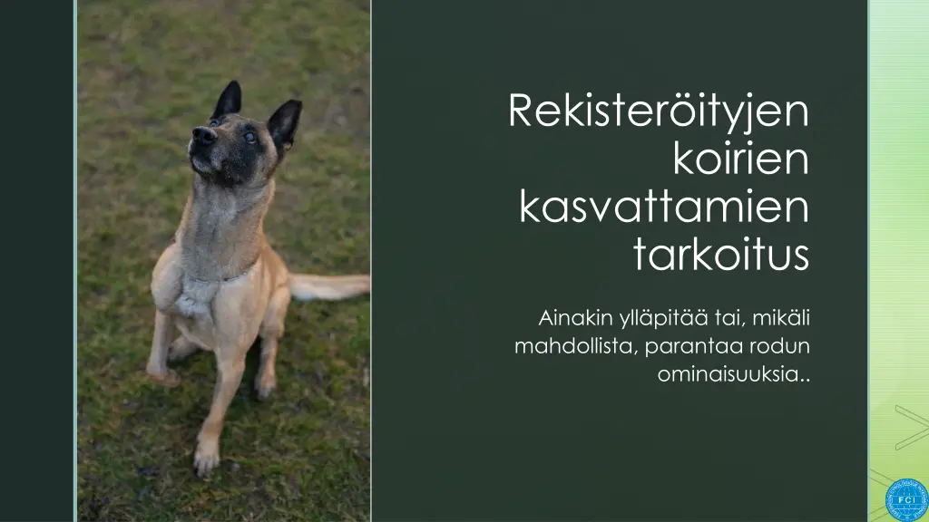 slide6
