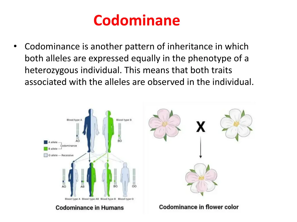 codominane