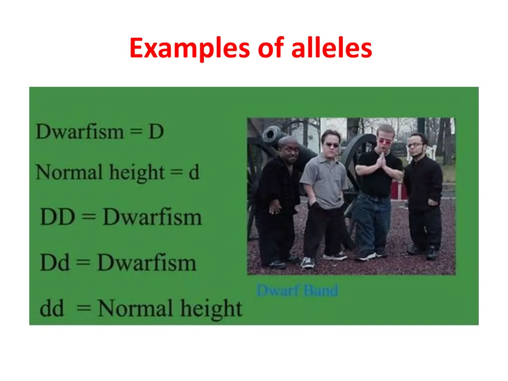 examples of alleles