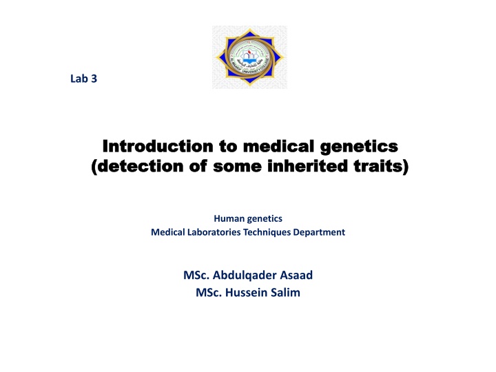 lab 3