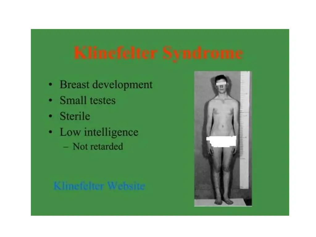 slide24