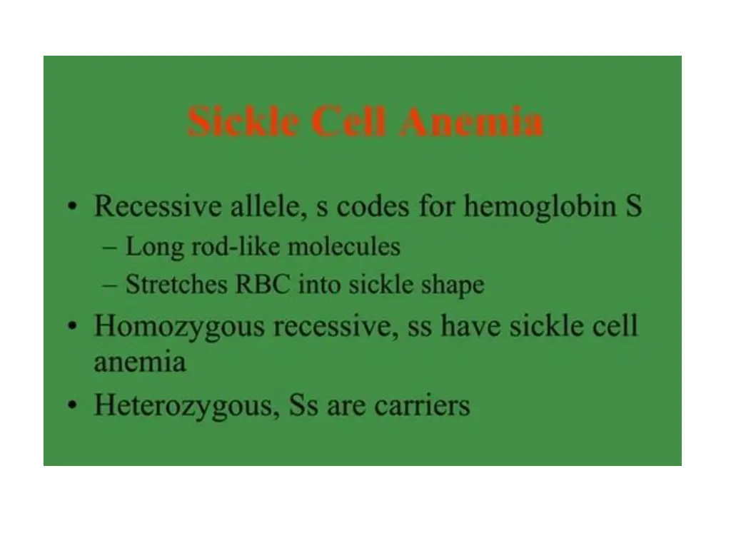 slide28
