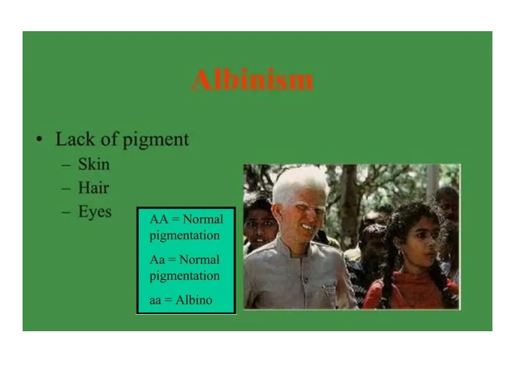 slide31