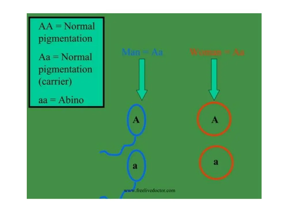 slide32