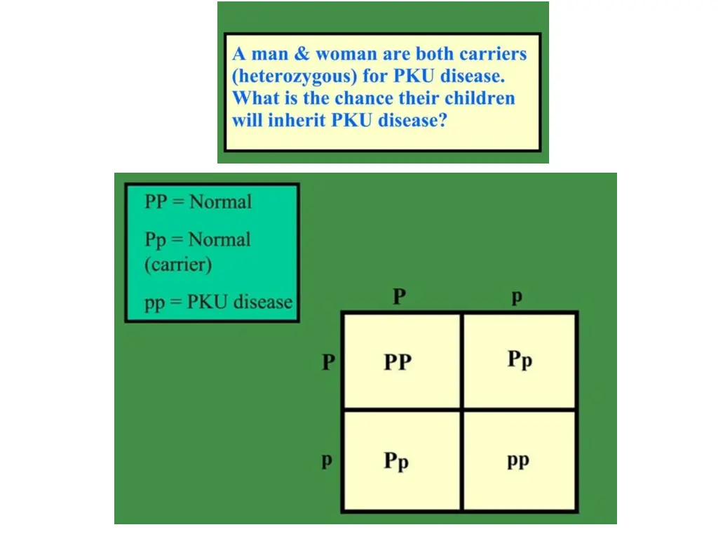 slide33