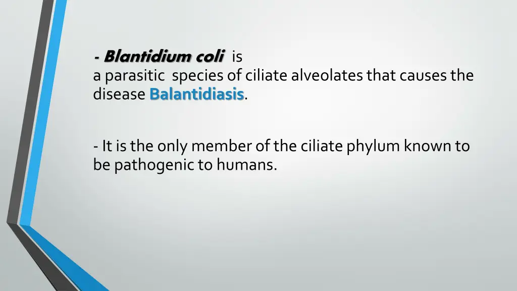 blantidium coli is aparasitic