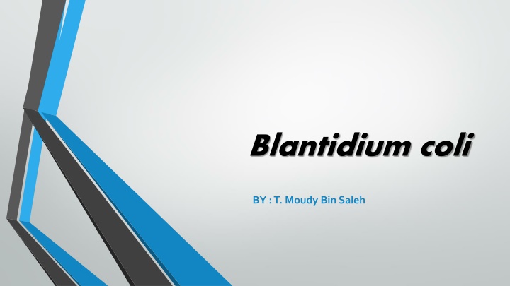blantidium coli