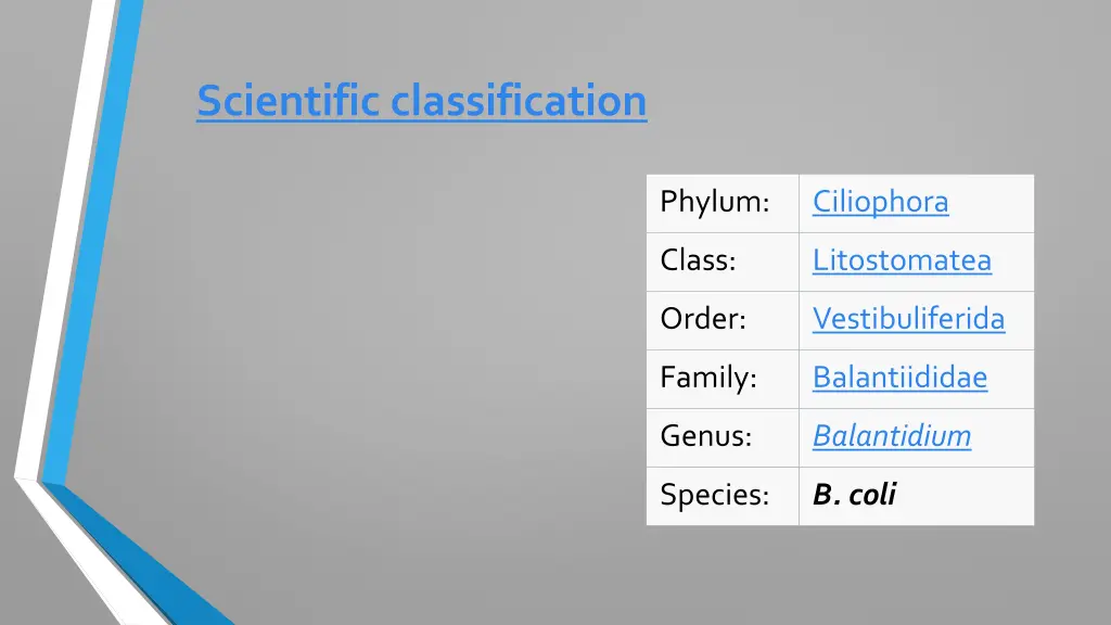 scientific classification