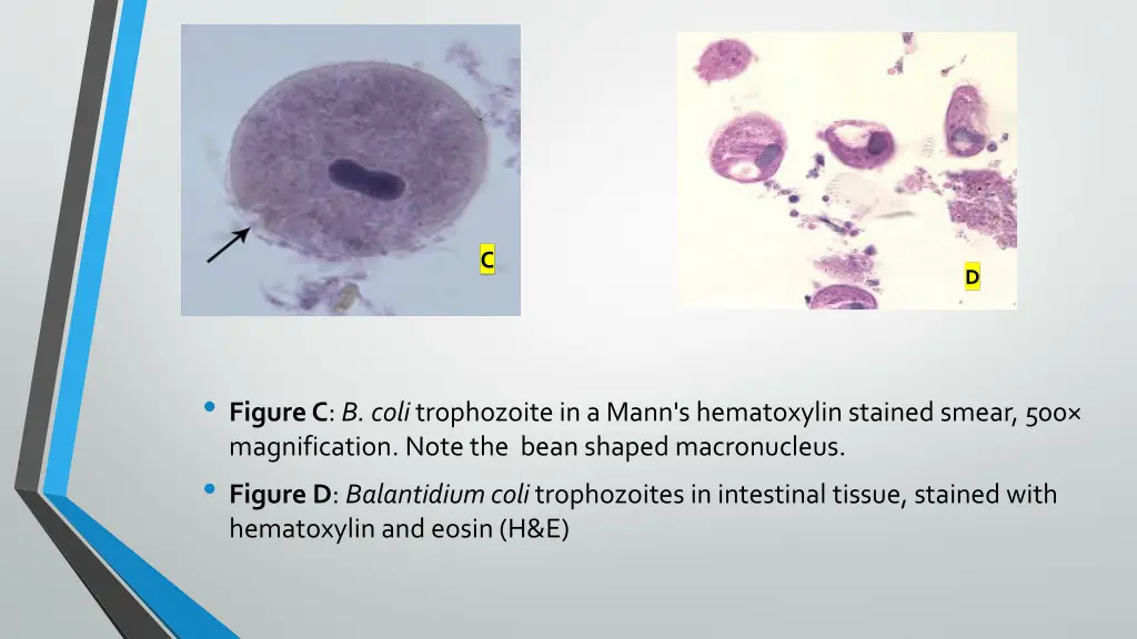 slide9