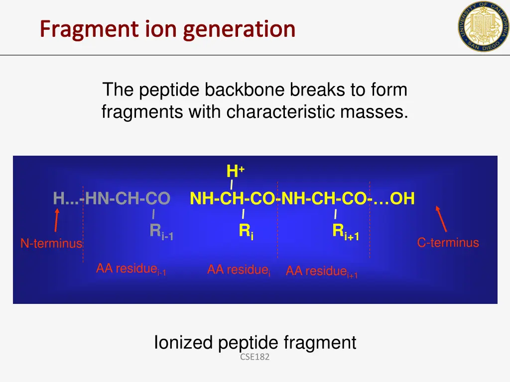 fragment ion generation