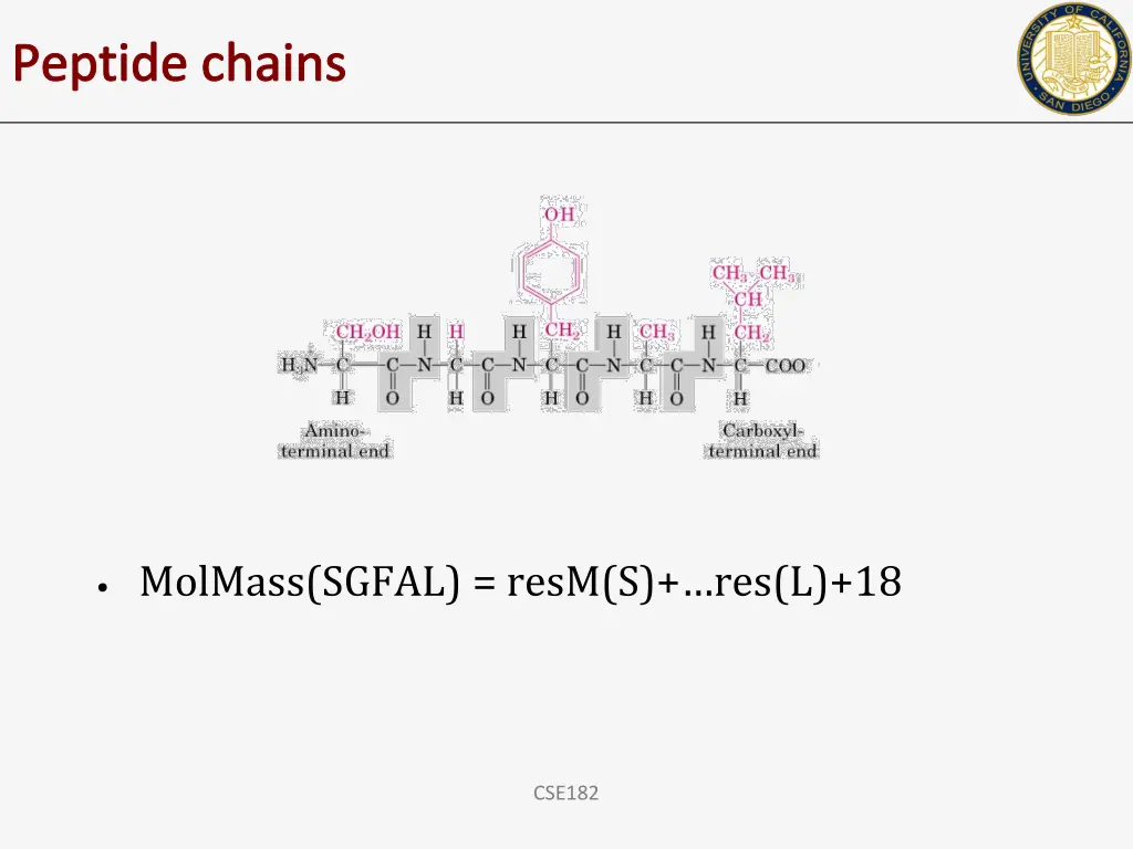 peptide chains